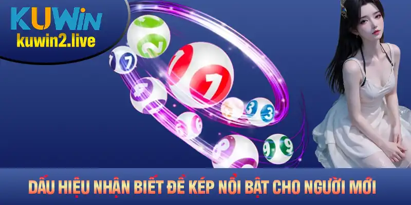 Những dấu hiệu nhận biết đề kép nổi bật cho người mới